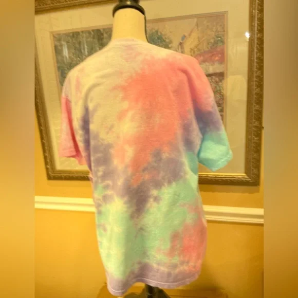 Bean Goods Dachshund Tie-Dyed Tee perfect for Easter and Spring/Summer size XL - Picture 7 of 11